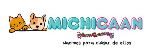 Michi Caan
